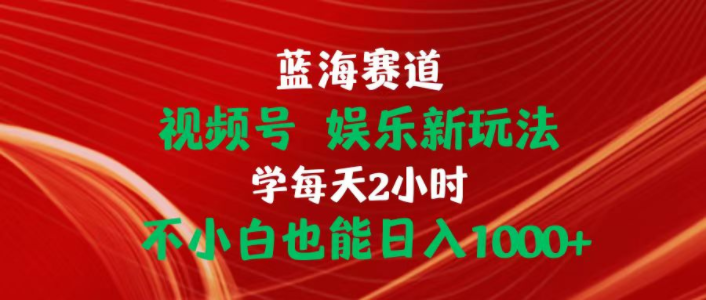 （10818期）蓝海赛道视频号 娱乐新玩法每天2小时小白也能日入1000+-云网创